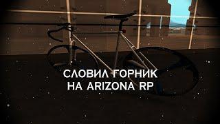 ПРОФЕССИОНАЛЬНО СЛОВИЛ ГОРНИК НА СЛЁТЕ (ARIZONA RP SAMP)