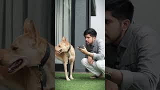Power of A.I.  | Kuldeep Singhaniaa #shorts