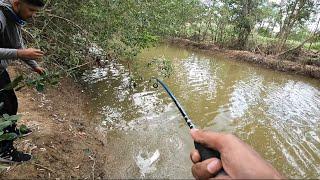 Hidden Rivers of Trinidad‼️ My Biggest River Fish Caught Yet‼️