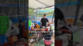 대도농원의 프랑스종 납작복숭아는 교배종인가요? 