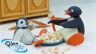 Pingu Loves Food  | Pingu - Official Channel | Cartoons For Kids