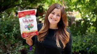 How to Feed Acid-Loving Plants with Holly-Tone 🪷// Garden Answer