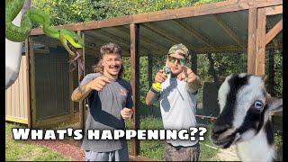 BIG NEWS !!!! with @TylerNolan -  Duffdoesnaturestuff