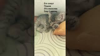 14 апреля 2025 г.