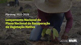 Lançamento Nacional do Plano Nacional de Recuperação da Vegetação Nativa - Planaveg 2025-2028