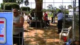 Channel 7 Thornlie Tree Saga Refuses To Go Away