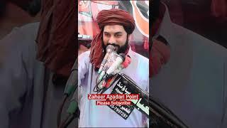 Zakir Waseem Abbas Baloch #viralshorts #newmajlis2024 #youtubeshorts #zaheerazadaripoint