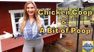 Chicken Coop and a Bit of Poop! Best Chicken Coop and Pen!