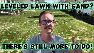 Jobs Not Done! What To Do AFTER You Level Your Lawn With Sand #lawn #lawncare #diylawncare