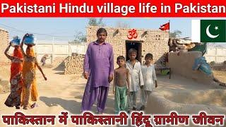 Hindu village life in Pakistan || Hindu life in village  || Pritam ram vlogs