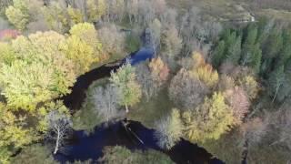Amazing 840 Acres Prime Hunting Hubbard Lake Alpena County