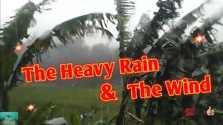 The Heavy Rain And The Wind