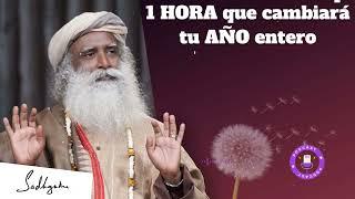 1 HORA que cambiará tu AÑO entero - SADHGURU