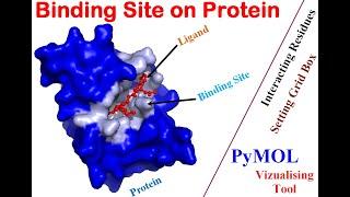 Identifying Binding Site on Protein : Tutorial