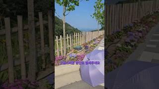 #스탬프투어 #수국국페스티벌 #진주 #월아산숲속의진주 #korea #2025