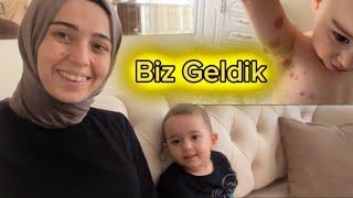 BEBEĞİM ALERJİ OLDU. KEDİM MİNTİK’i KISIRLAŞTIRDIK