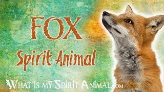 Fox Spirit Animal | Fox Totem & Power Animal | Fox Symbolism & Meanings