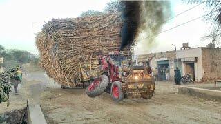 Great Tractors are pulling trailers in turns | Belarus Tractor are emitting a lot of smoke