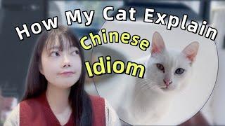 【pinyin&Eng】Advanced Chinese Learning｜Learn Chinese Through Stories｜