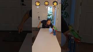 Her IQ Aura 1000