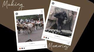 STOCKYARDS AND GORILLAS GONE WILD! |SPRING BREAK 2024|