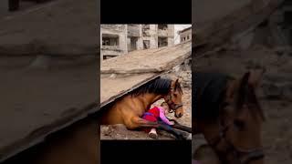a horse that sacrifices its soul for a person #horse #horseboy  #goat