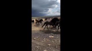 Riding in the Altai