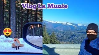 Vlog La Munte!