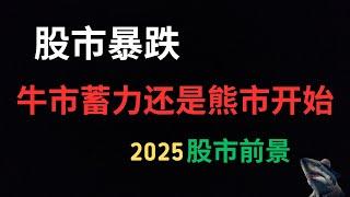 美股 暴跌 科技股领跌背后 牛市蓄力充电 是中段还是终点 特斯拉财报拉开帷幕 预示新起点 还是昙花一现 2025股市前景预测