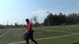 YorkU Lions vs Guelph - September 17th 2022