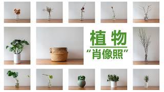 I pay little attention to my plants until I take their "portraits"#plantphotography