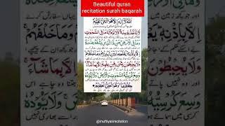 Quran tilawat مُحَمَّد ﷺ#quran #qurantranslation #viral #qurantilawat #duet