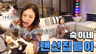 (ENG)김숙의 랜선 집들이에 초대합니다 그런데 고양이를 곁들인..