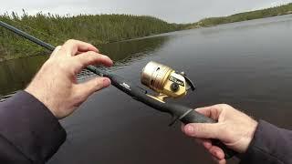 world's best spincast reel Daiwa goldcast 508rl