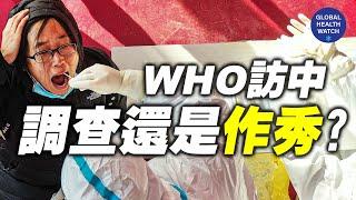 世卫专家组能在中国找到病毒来源吗？ 是独立调查还是政治秀？ | 全球观察 | 林晓旭博士