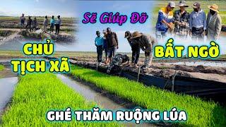 Thế Nhân || Bác Chủ Tịch Xã Bất Ngờ Ghé Thăm Mô Hình Ruộng Lúa Nước Việt Nam Ở Bản Làng Caiti