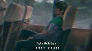 Tujhe Bhula Diya (Slowed + Reverb) | Heart Broken  | Hindi Sad Song | Route Scale