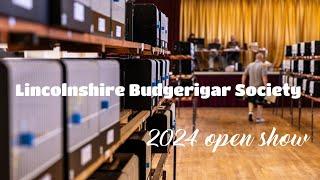 Lincolnshire Budgerigar Society Open Show 2024