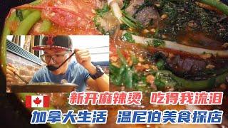 温尼伯美食探店 这碗麻辣烫吃完我流泪了！中华第一麻辣烫？杨国福 Ma La Tang is Single Hotpot 味道不错，就是贵！加拿大生活 Winnipeg Life Canada
