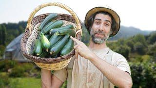 SIMPLE et EFFICACE : La COURGETTE 