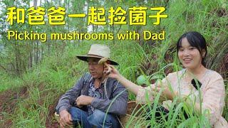 Going up the mountain with Dad to pick mushrooms and make a delicious wild mushroom feast!