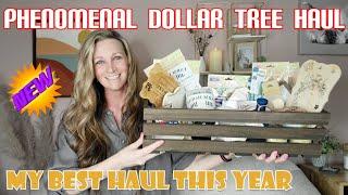 HUGE DOLLAR TREE HAUL | PHENOMENAL ITEMS | 6 DIY'S| MUST SEE| May 7