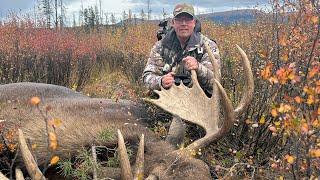 Moose Hunt 2024  Moose Down And The Pack Out - Episode 2