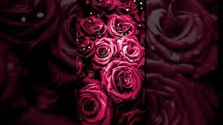 Luxurious dark purple roses Animated