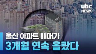 울산 아파트 매매가 3개월 연속 올랐다 20241118