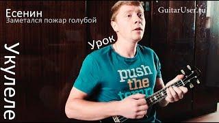 Заметался пожар голубой (Урок для УКУЛЕЛЕ)