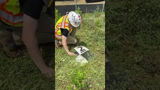 Weed whacking my drone survey targets 