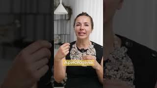 Академия Платона vs Лицей Аристотеля: Кто создал лучший университет в истории?