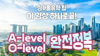 [싱가폴 조기유학] 싱가폴 국제학교 유학 필수 에이레벨(A-level), 오레벨(O-level) 수학, 과학 공부법(Feat. 싱가포르국립대 졸업생)