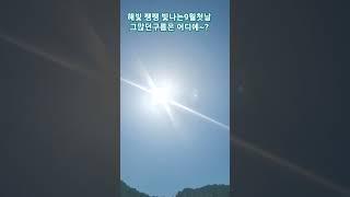 #황영웅#비상#구름한점 없는 파~란 햇볕은쨍쨍 고추말리기딱좋은날 #일손할일tv